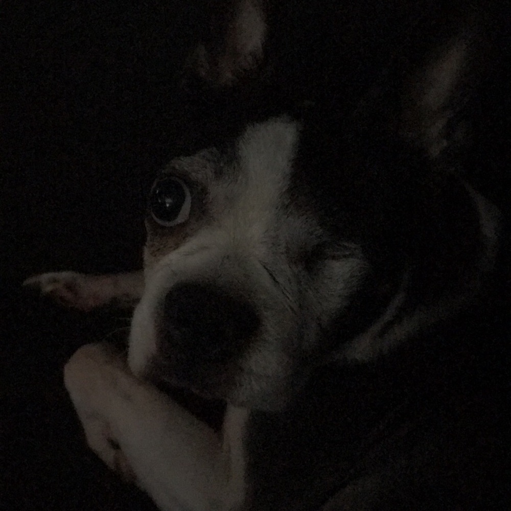 Meet your Posher, Todd